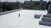 Novi-goljek-2017-01